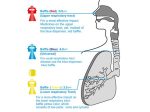 ⁦نيبوليزر-جهاز استنشاق بالبخار Clinica⁩ - الصورة ⁦2⁩