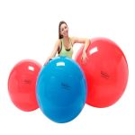 كرة PHYSIO GYMNIC